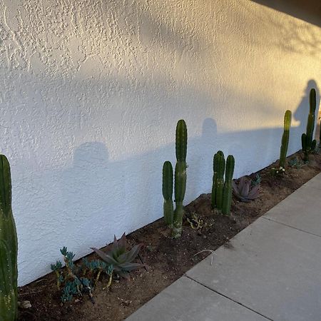 Electroliquid'S Casa Pueblo Joshua Tree Vila Exterior foto