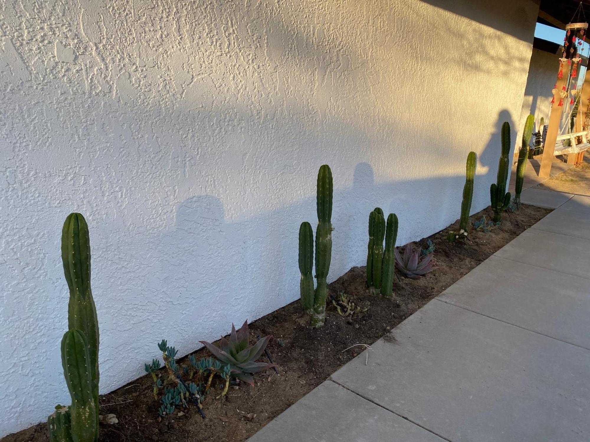 Electroliquid'S Casa Pueblo Joshua Tree Vila Exterior foto